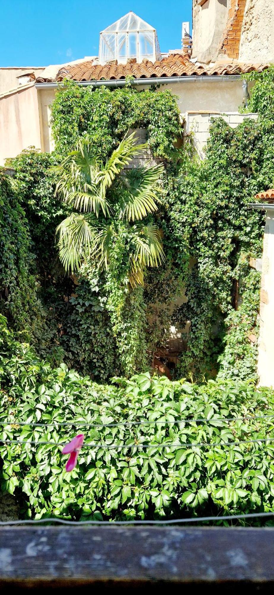 Appartement Plein Centre-Ville Lodeve Luaran gambar